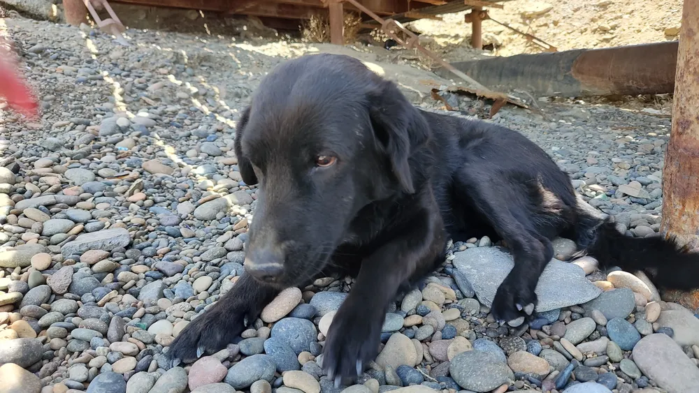 IMG_20231229_133429941_HDR