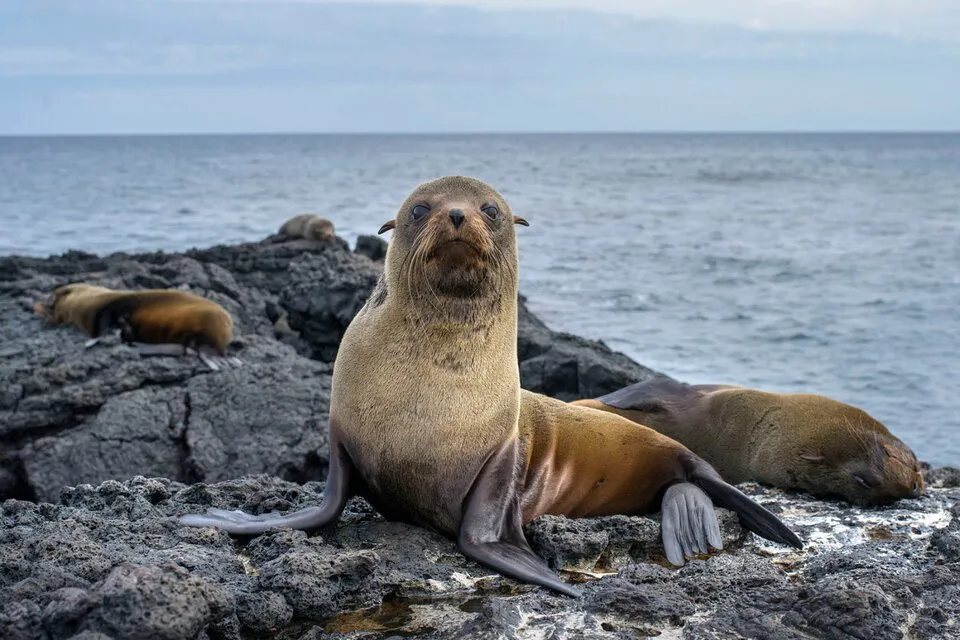 763160-whatsapp-20image-202023-08-30-20at-2017-24-35