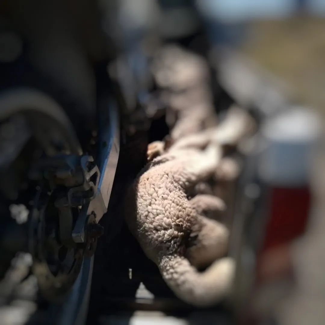 FB_IMG_1704660043743-01