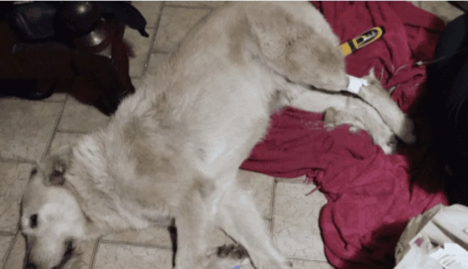 Screenshot_20260410_140036_Facebook