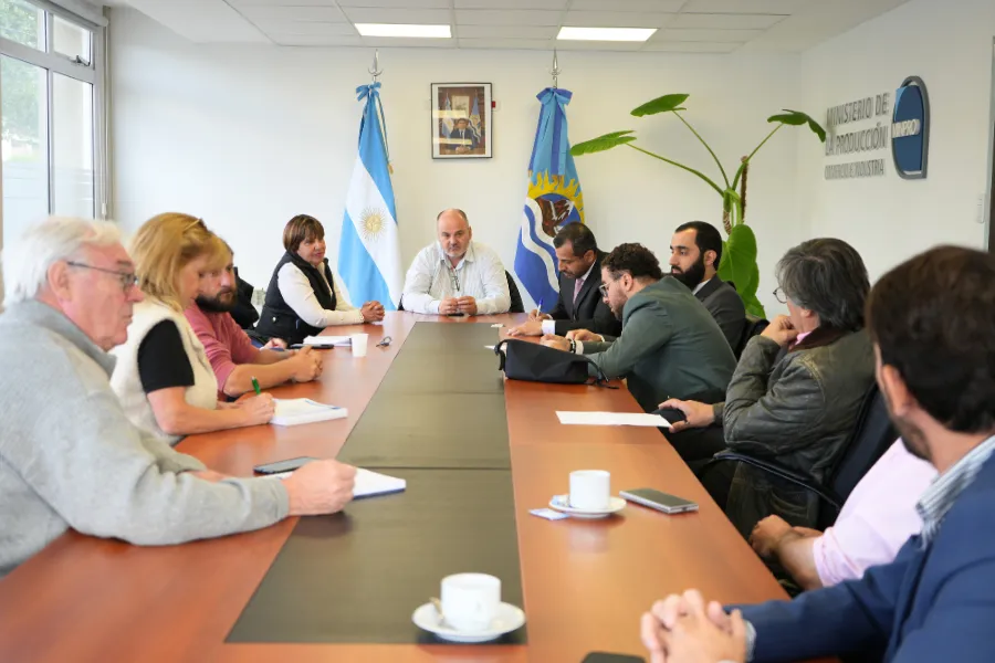 ROCO_FOTOS_-_2026-02-02T145137.427