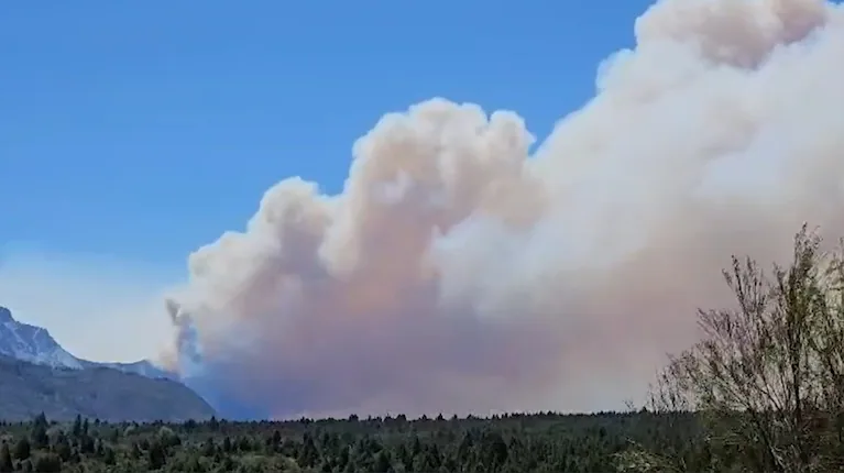 incendios-en-chubut-se-reactivaron-tres-focos-y-hay-mas-de-35-mil-hectareas-quemadas-foto-captura-tn-B4BWK7FGZRHU7KEDVRP7NNYN2M
