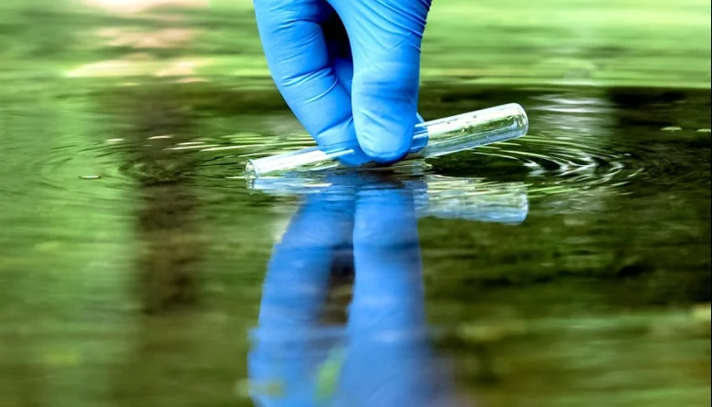 20250331210354_prueba-2025-03-31t210346-302