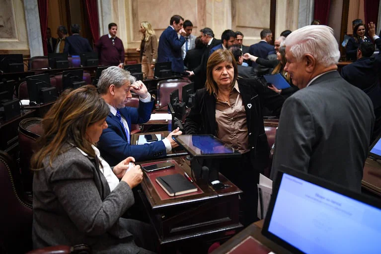 en-la-ultima-sesion-del-senado-el-oficialismo-debio-postergar-el-tratamiento-de-la-ley-de-inviolabilidad-de-la-propiedad-privada-al-no-reunir-los-votos-foto-charly-diaz-azcue-comunicacion-senado-WKZK2D7Z3BDX7BCLUSTMGDI2TY