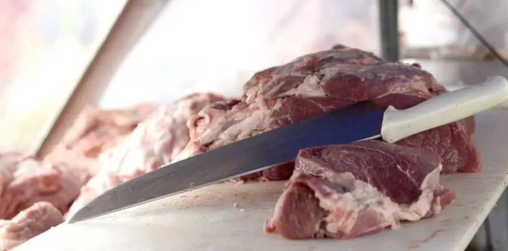 carne-todos-carnicerias