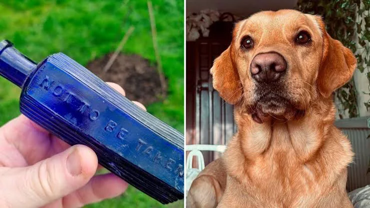 images - 2026-03-21T164451.406