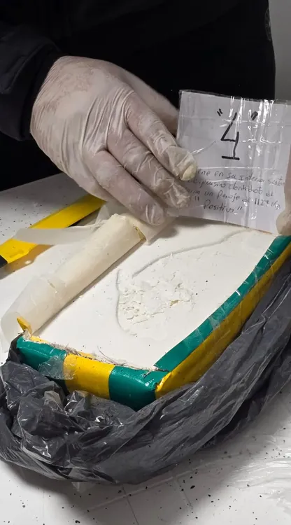 WhatsApp_Image_2025-07-26_at_4.16.14_PM