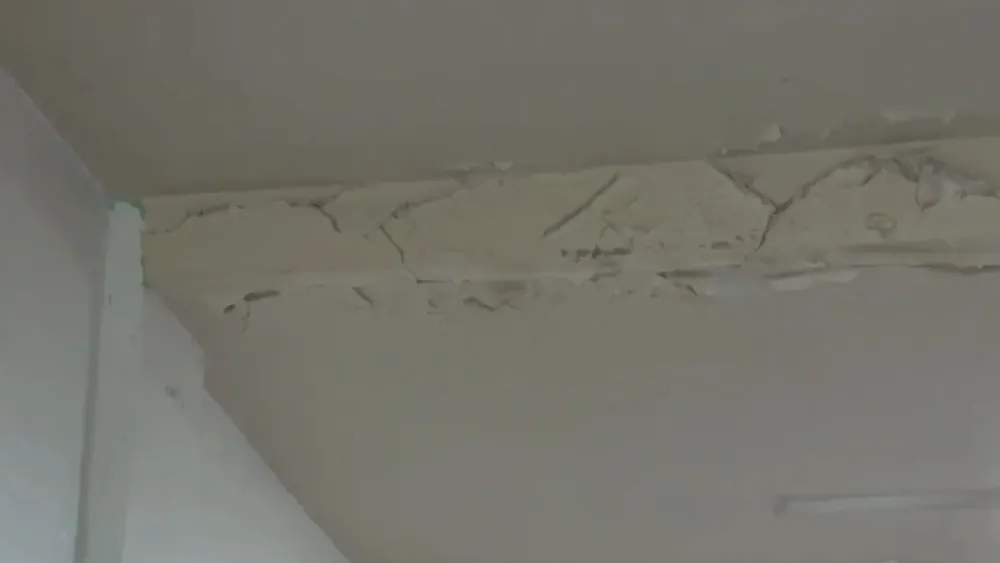 Diseño sin título (19)