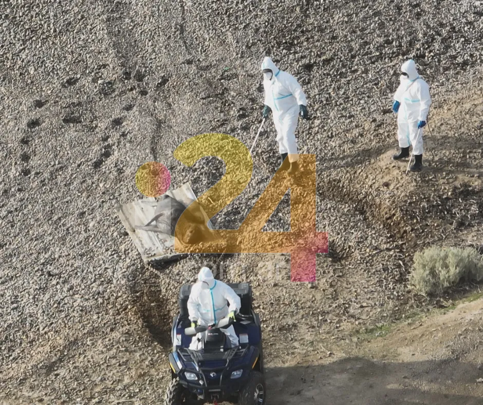 Diseño sin título (7)