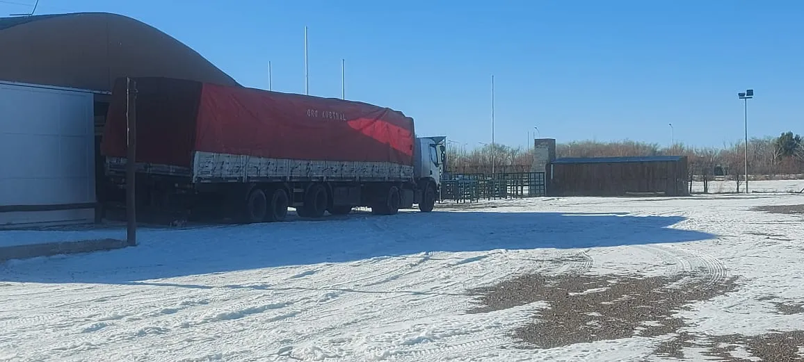 Emergencia_Climtica_Las_Heras__Primer_camion_con_alimento_para_animales__1