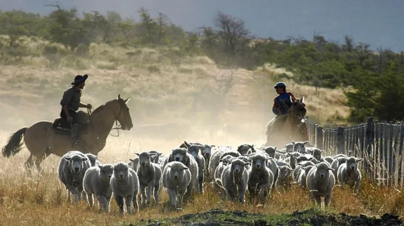 peones_rurales