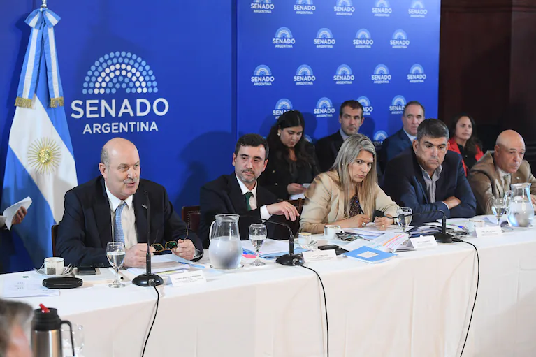 el-plenario-de-las-comisiones-de-asuntos-constitucionales-y-legislacion-general-del-senado-cuando-recibio-el-pasado-mes-de-abril-al-ministro-federico-sturzenegger-foto-senado-nacional-34SS3AEX65HZFBTUK5XPKDTQUY