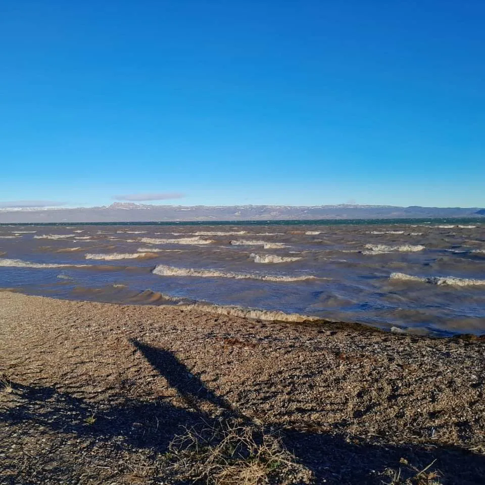 FB_IMG_1722094367072