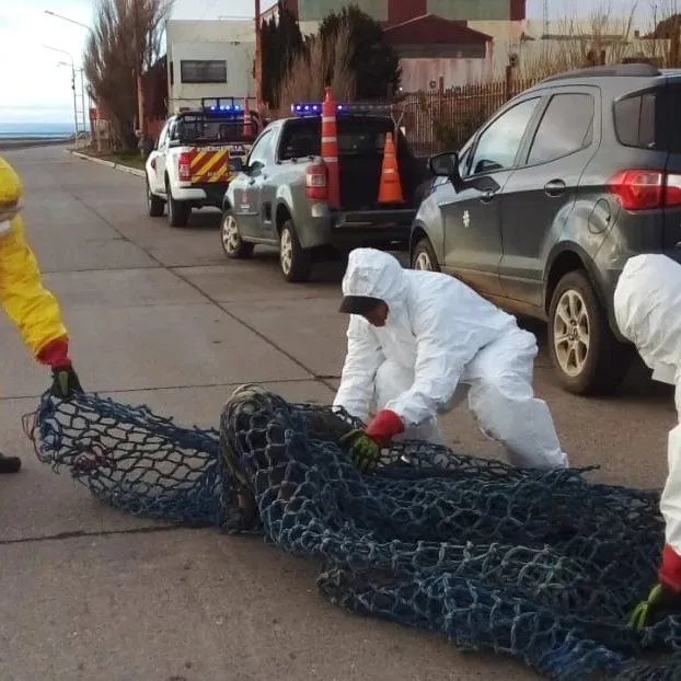 383069989_643921977925624_2647066610791041522_n