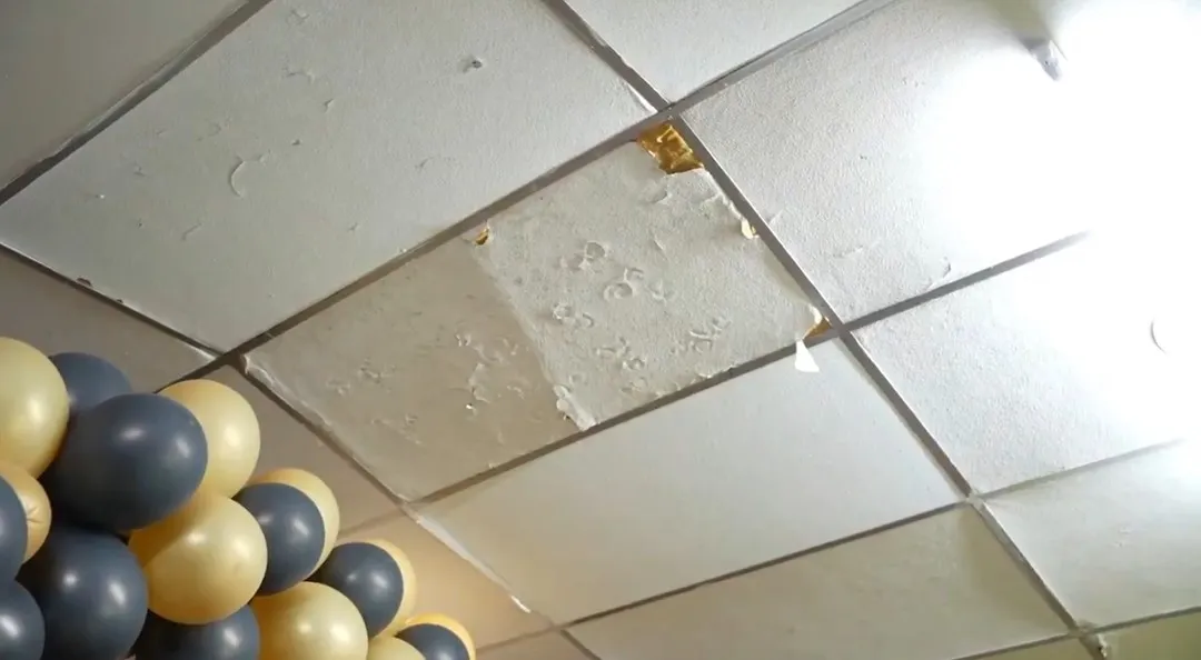 Screenshot_20240116_002850_X~2