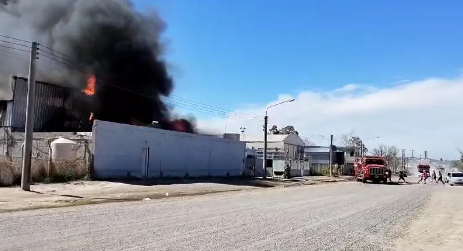 Screenshot_20231224-173352-01