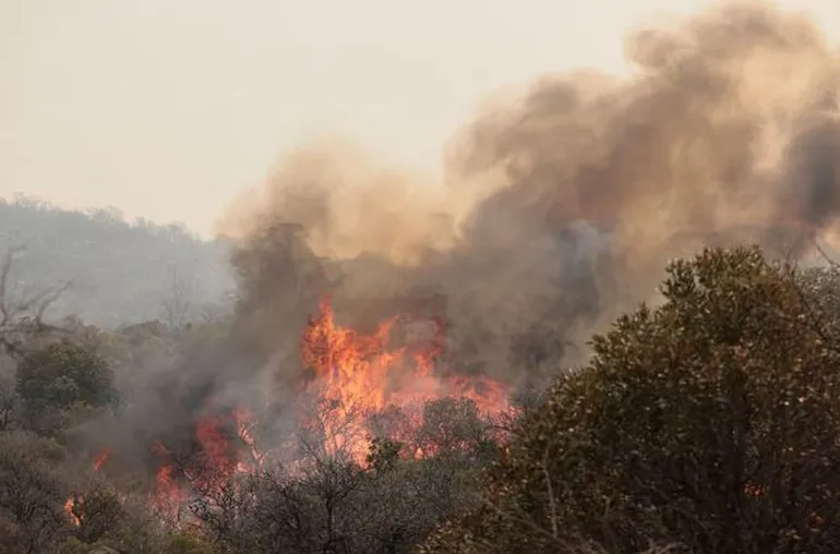 incendios-forestales-cordobajpg