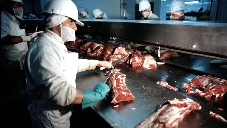 exportacion-carne-728x410