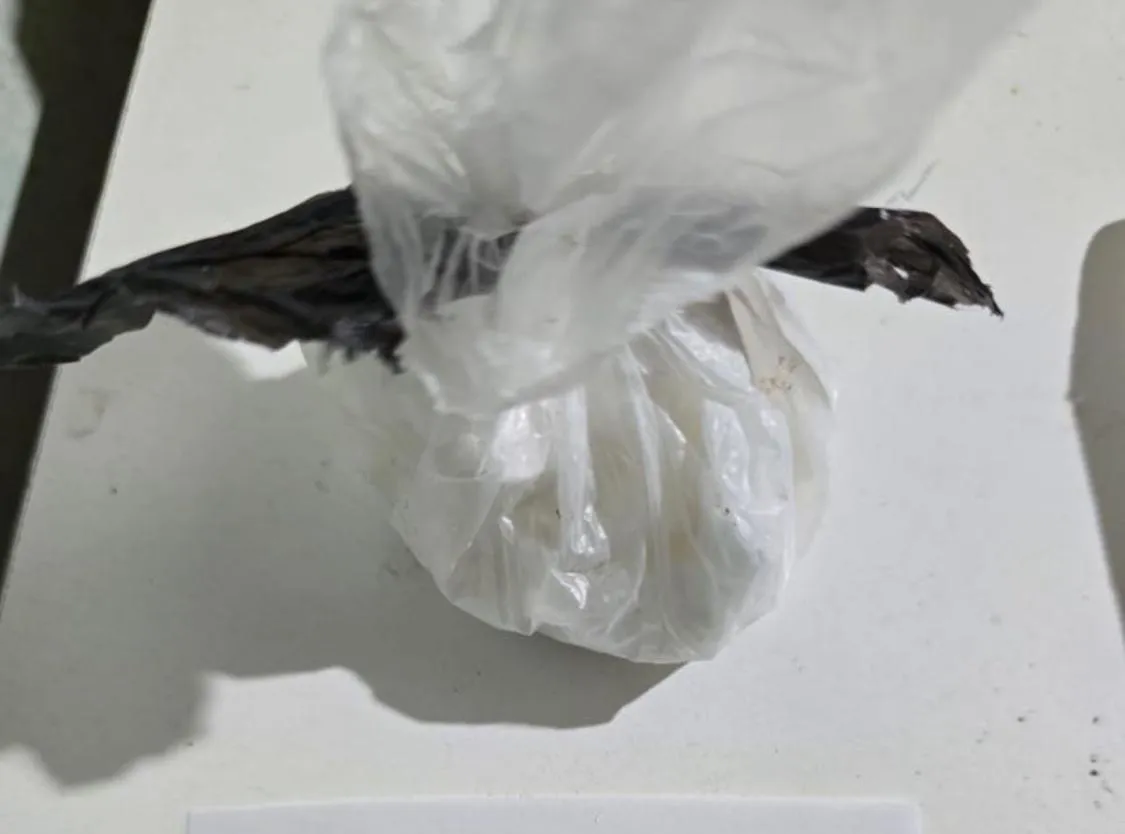 7e2f9c0b-f71d-4f2e-9539-7c1e00e0bad2