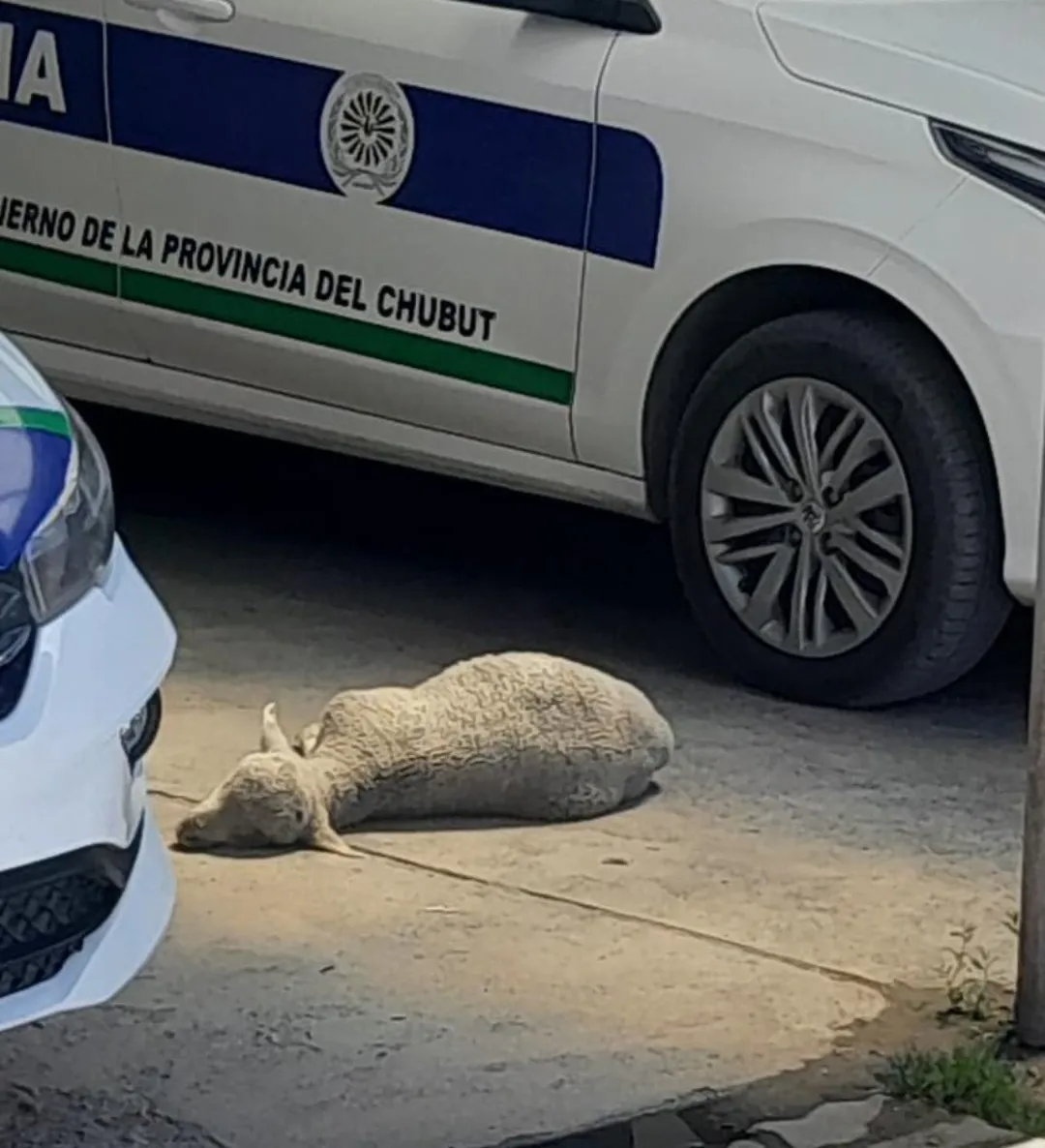 Screenshot_20231228-120629-01