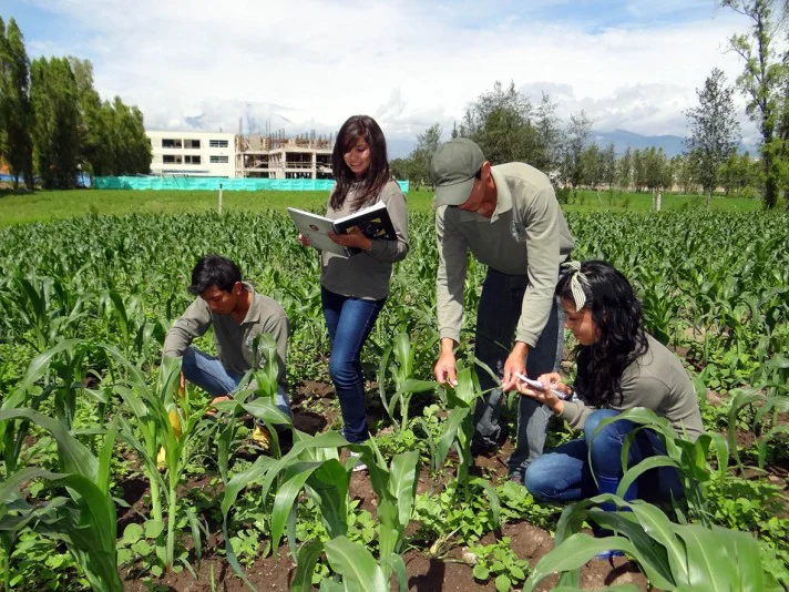 agro