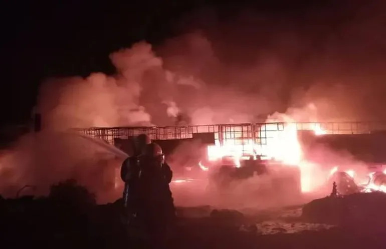 vaca-muerta-incendiojpg