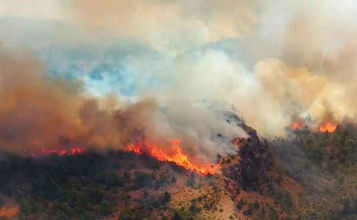 images - 2026-02-03T123927.931