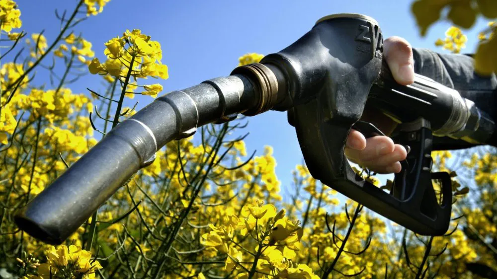 biodiesel 2