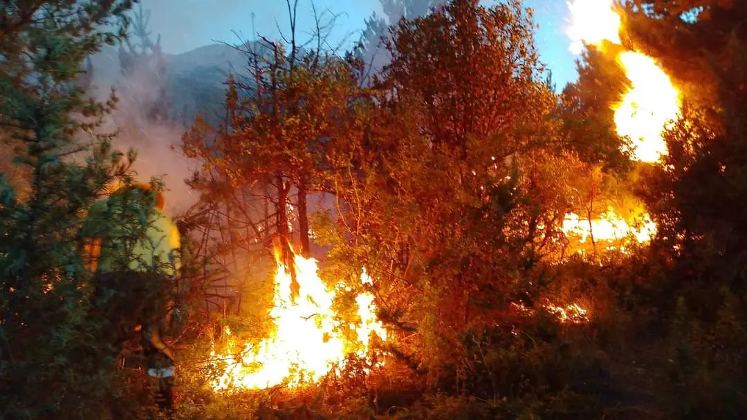 FB_IMG_1706088378726