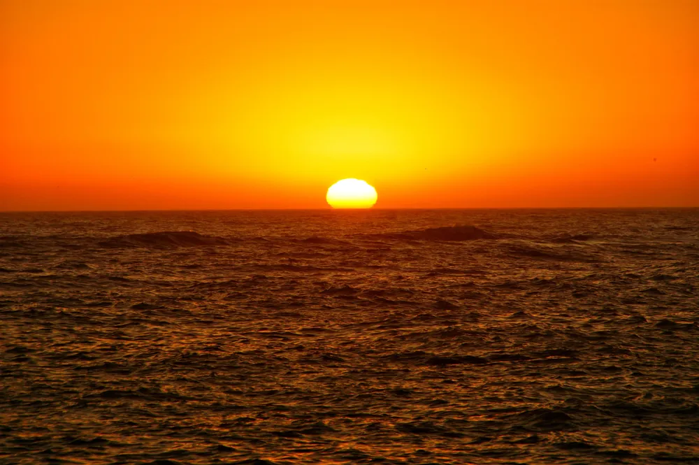 IMG-20240125-WA0050