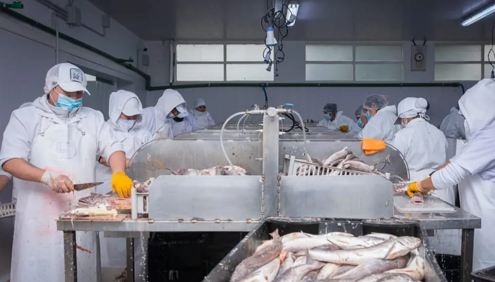 CIERRE_ACTO_CURSO_FILETERO_4