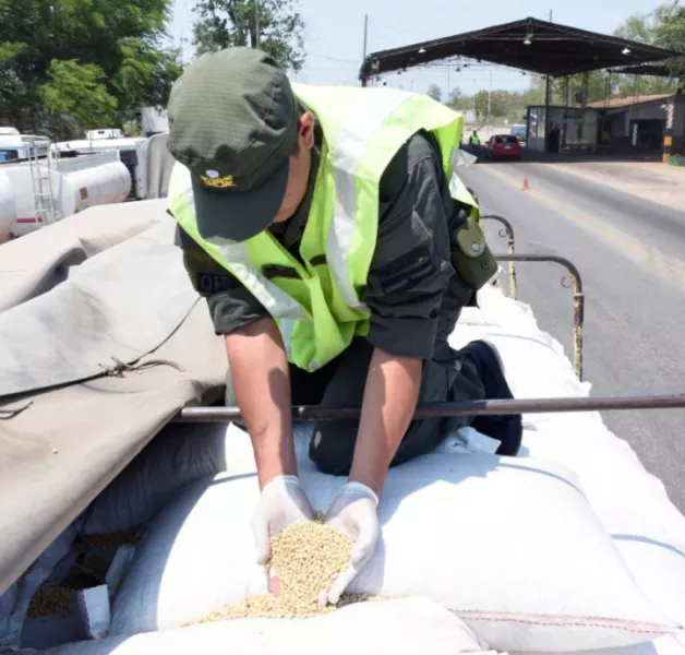 73606-detuvieron-a-9-gendarmes-en-salta-por-cobrar-coimas-para-facilitar-el-contrabando-de-granos