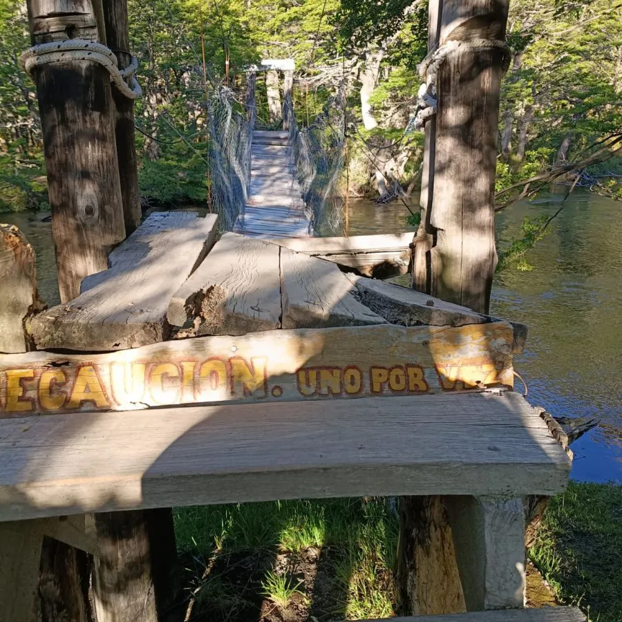 d9002895c0f69b7562d36d8be0a63d71_XL