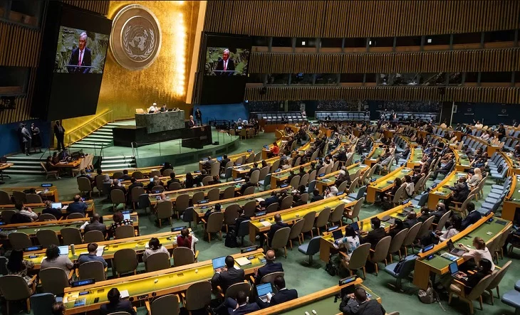 ONU-13112024-editada