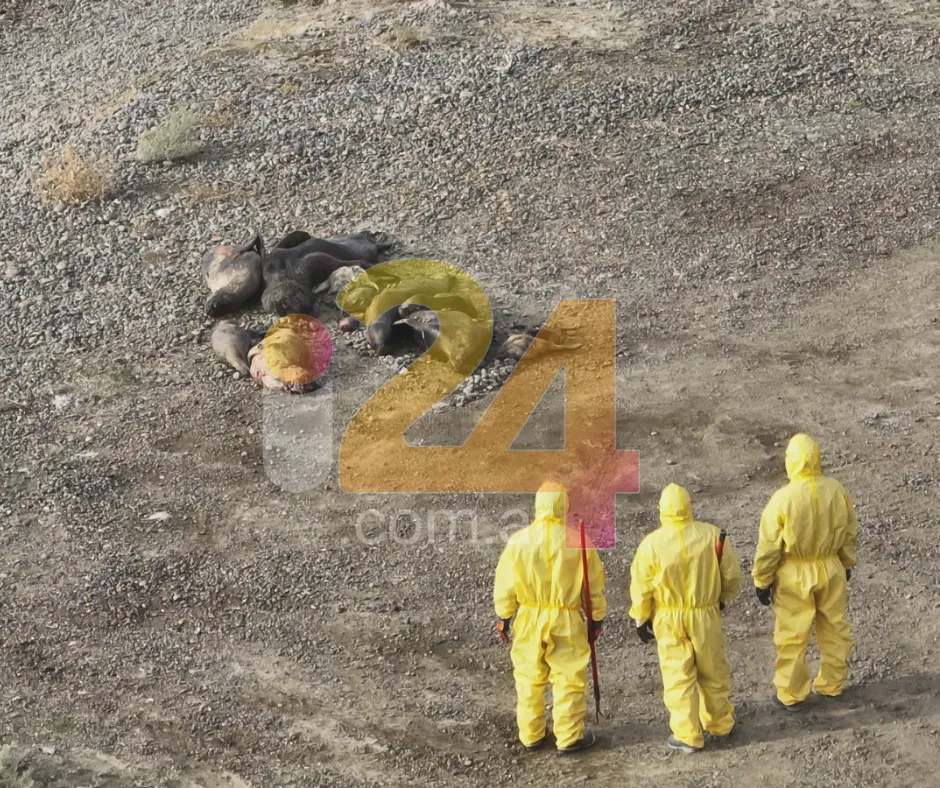 Diseño sin título (9)