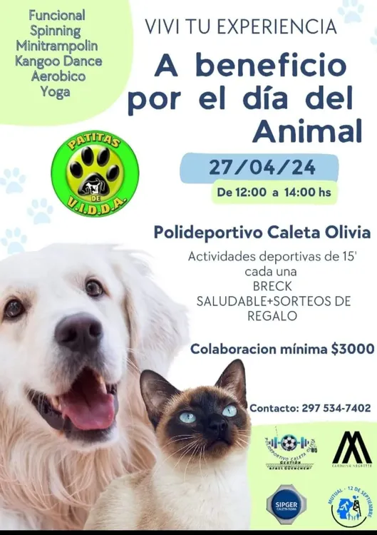 FB_IMG_1714100051245