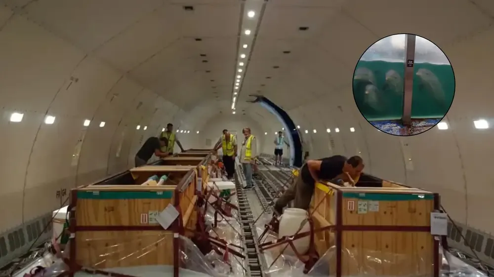 GG653CAH6VAENHO5VUWRE2H4VE