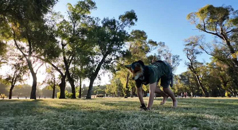 Captura de Pantalla 2026-02-10 a la(s) 14.42.00