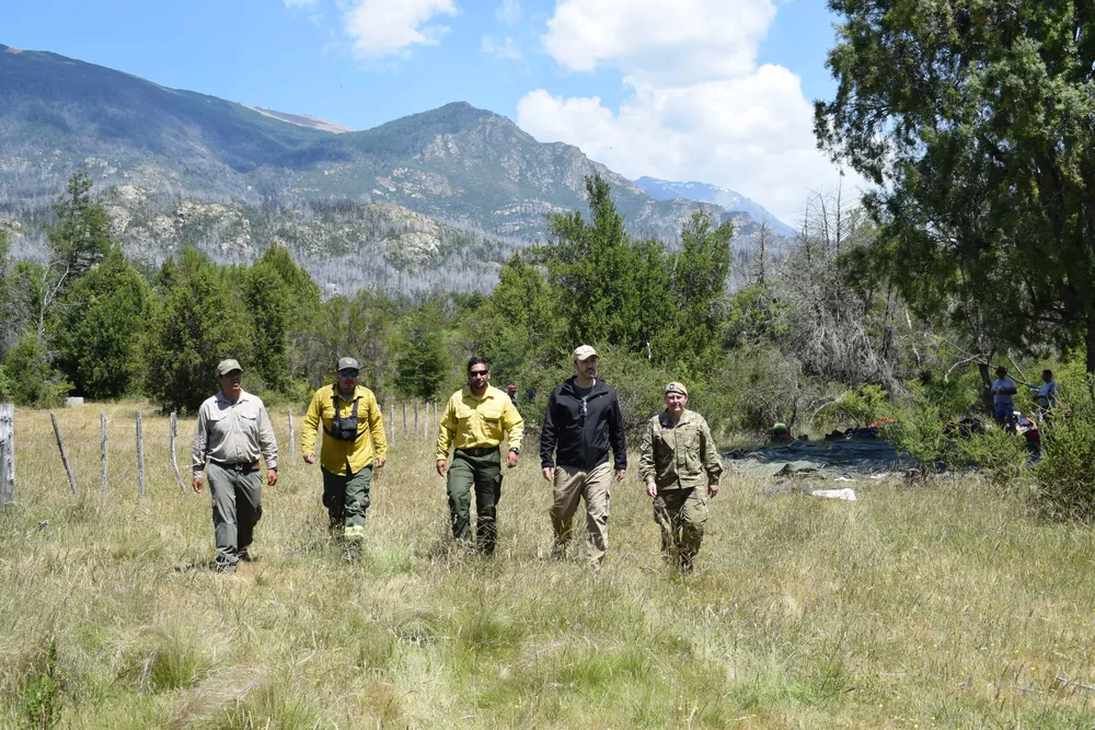 WhatsApp Image 2025-01-03 at 17.25.10