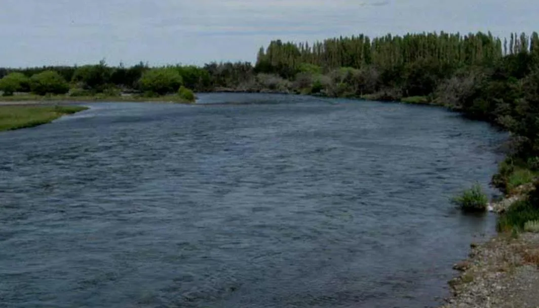 8f707f8a-c456-4ec0-b641-1b311eeba24e