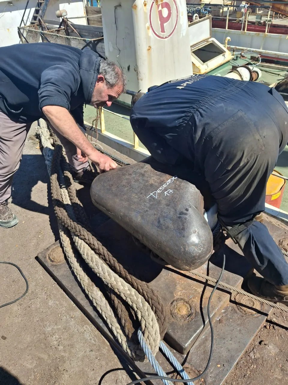 WhatsApp_Image_2025-12-10_at_2.03.11_PM