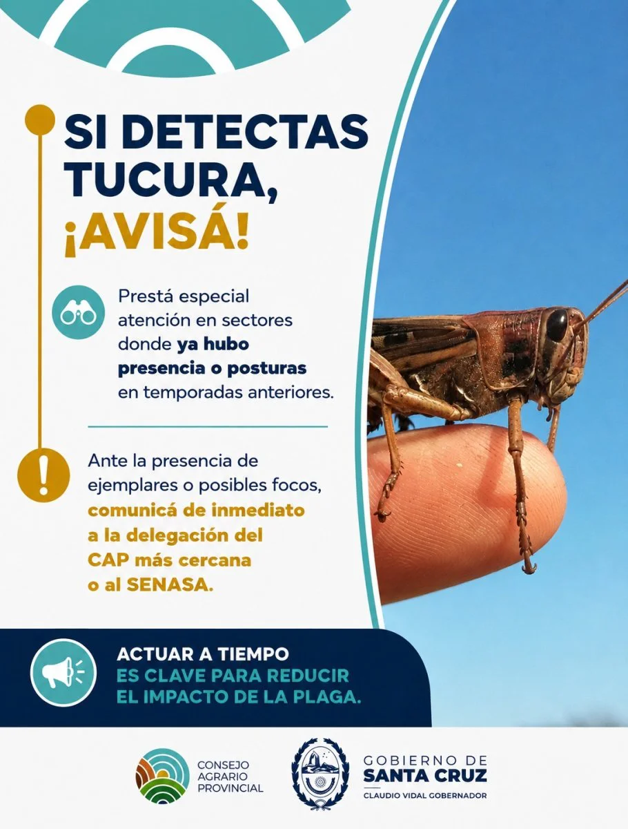 6b3223e5-84b3-4d0c-b998-dca3e7be7d07