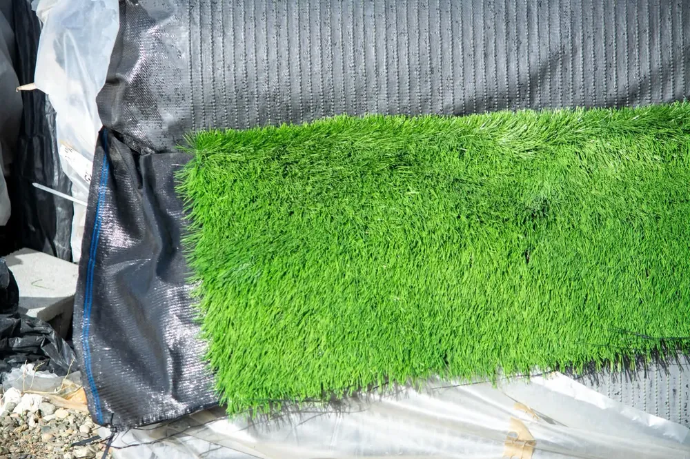 FB_IMG_1774996224530