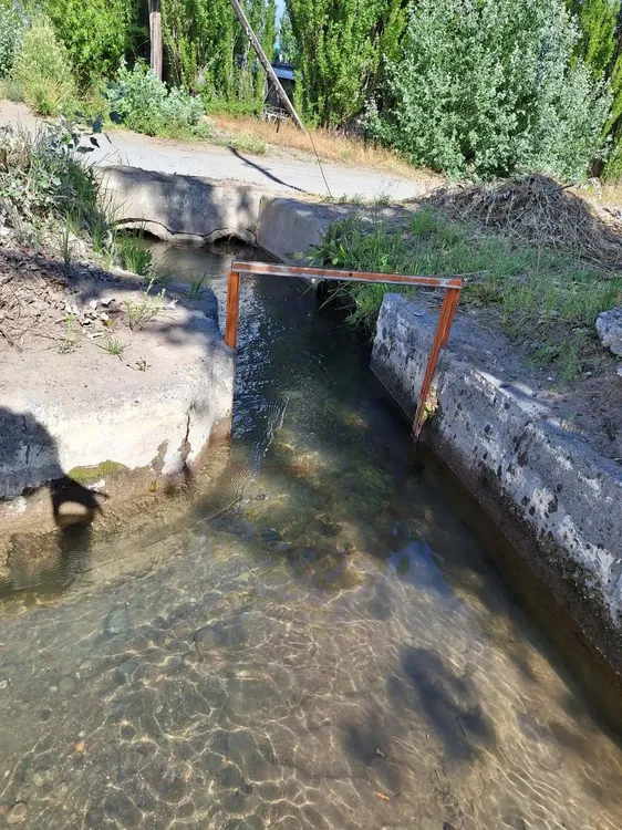 WhatsApp_Image_2025-01-11_at_15.35.03_6