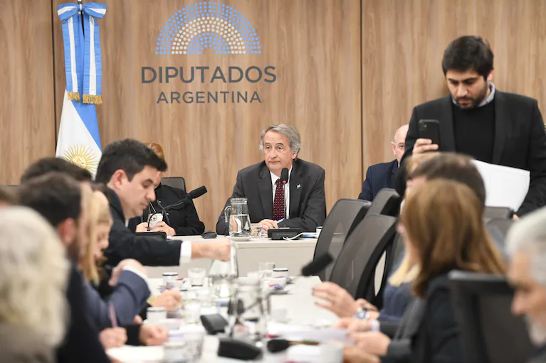 nicolas-mayoraz-encabezara-la-reunion-de-asuntos-constitucionales-en-diputados-foto-camara-de-diputados-3HCPQUC5YNF6VO7WPVOINGPQFM