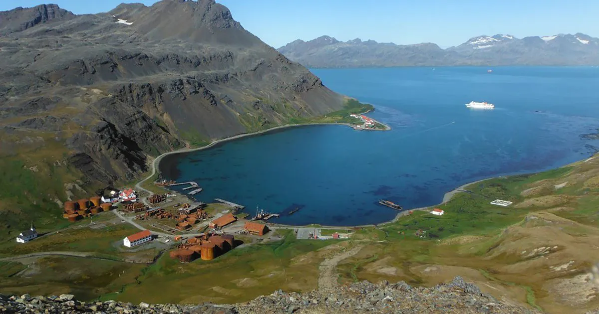 islas-sandwich-del-sur