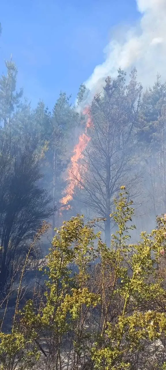 FB_IMG_1703546279722