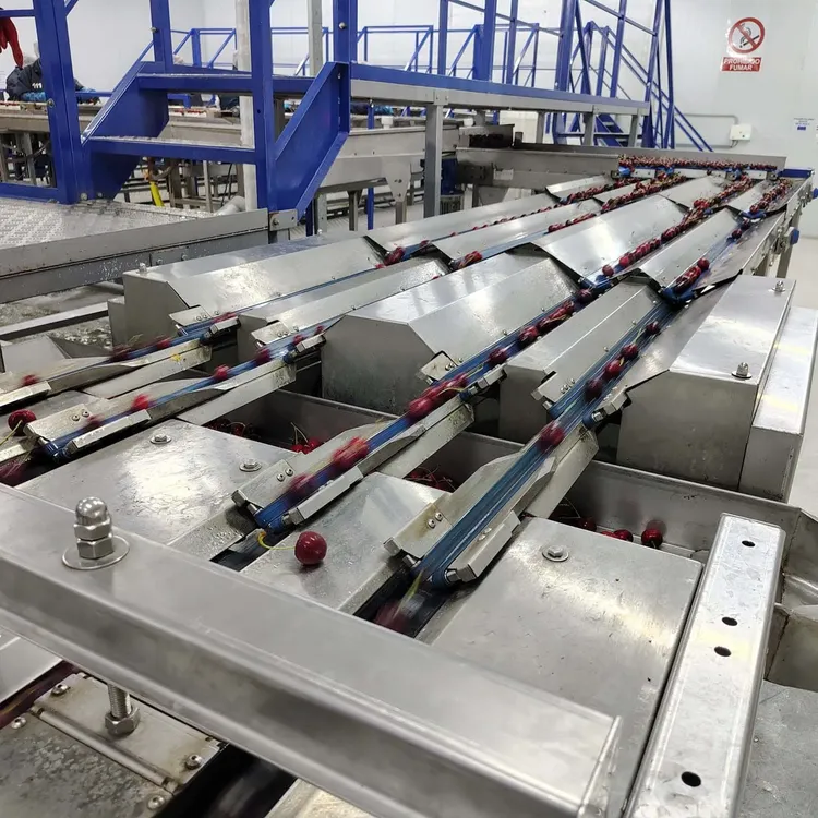 WhatsApp_Image_2025-01-11_at_15.35.03_2