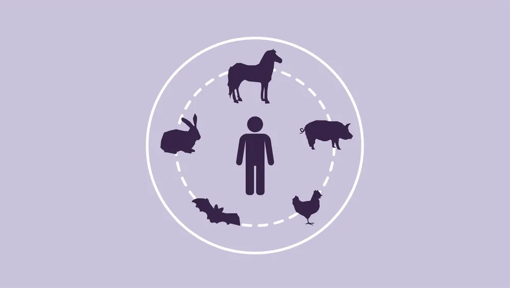 Zoonosis@2x
