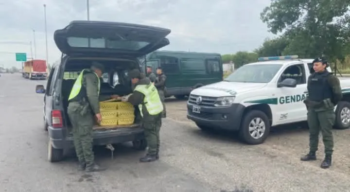 FB_IMG_1734870257079